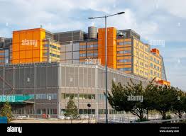 Mmuh Midland Met University Hospital - Voluntary Sector Briefing - scvo.info